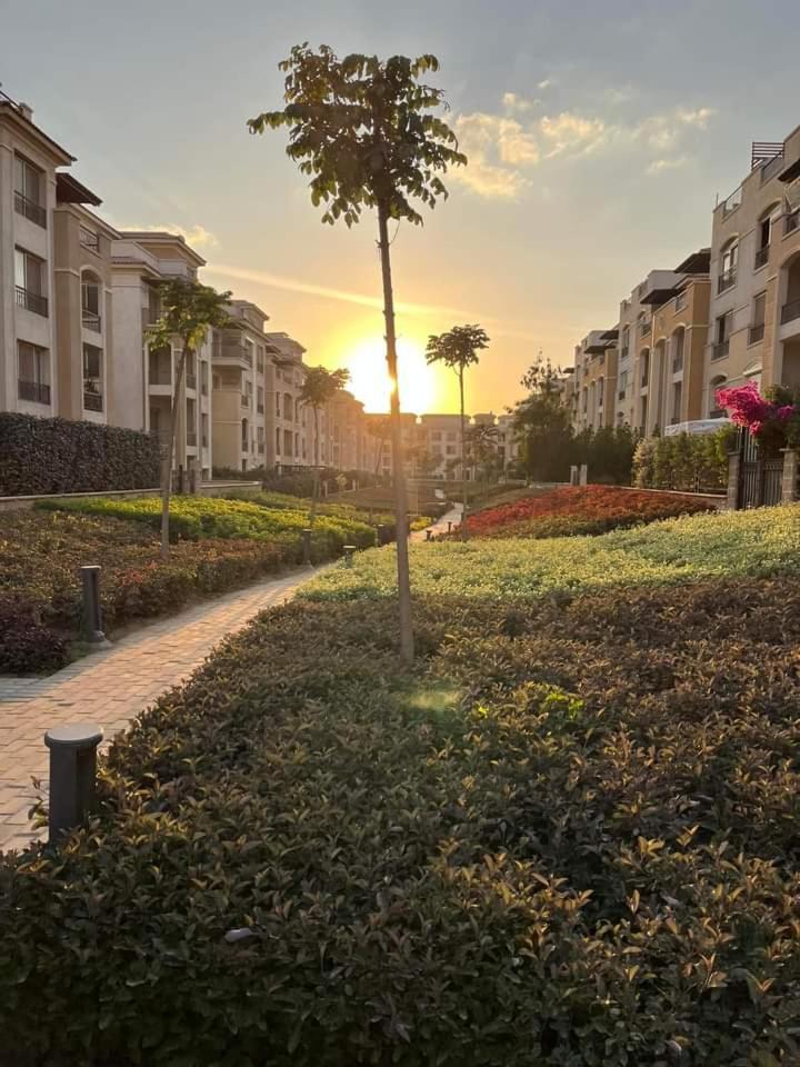 Apartment New Cairo
